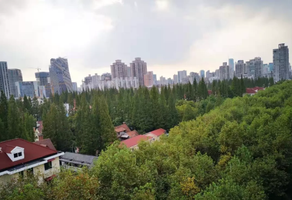 上海新華路花園洋房出租，246㎡獨(dú)棟