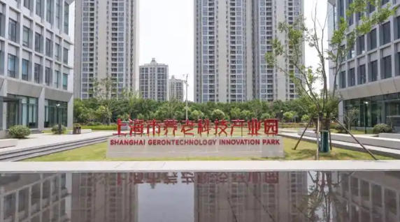 上海市人民政府辦公廳關(guān)于印發(fā)《上海市推進(jìn)養(yǎng)老科技創(chuàng)新發(fā)展行動方案（2024—2027年）》的通知
