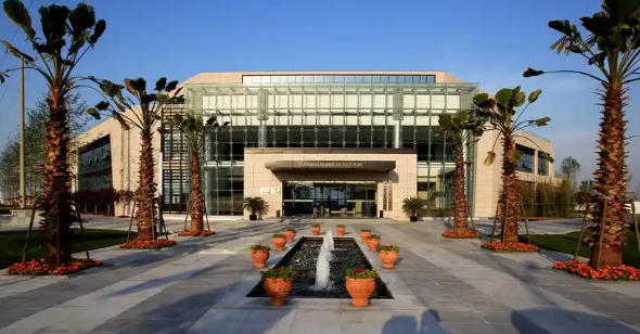 崇明區(qū)人民政府關(guān)于印發(fā)《張江高新區(qū)崇明園改革創(chuàng)新發(fā)展行動(dòng)方案（2025-2026年）》的通知