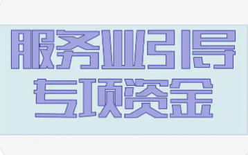 上海市市場監(jiān)管局等關(guān)于印發(fā)《上海市服務(wù)業(yè)發(fā)展引導資金支持廣告方向?qū)嵤┘殑t》的通知